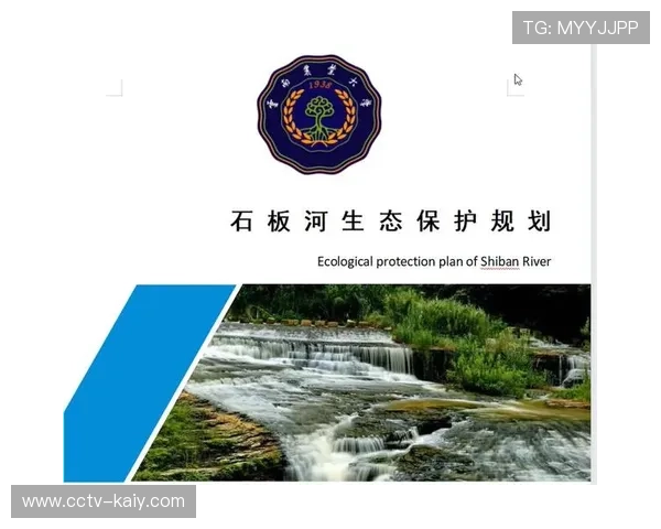 可持续性报告成为赛事标准配置 透明化环保成效