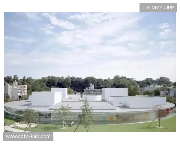 体育文化跨界引入美术馆空间，拓展美学表达新维度